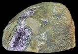 Purple Amethyst Geode - Uruguay #66714-3
